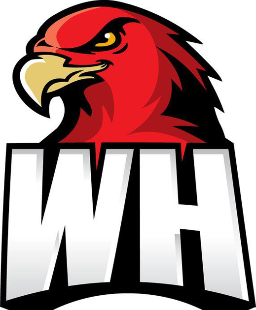 Wollongong Hawks 2008-Pres Secondary Logo iron on transfers for clothing